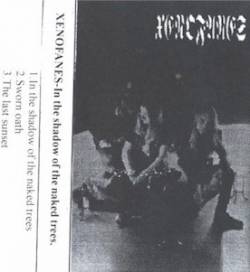 Xenofanes : In The Shadow of Naked Trees